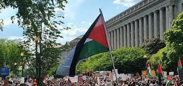 أعداد المؤيدين للفلسطينيين تتزايد في الأوساط الأكاديمية الأمريكية