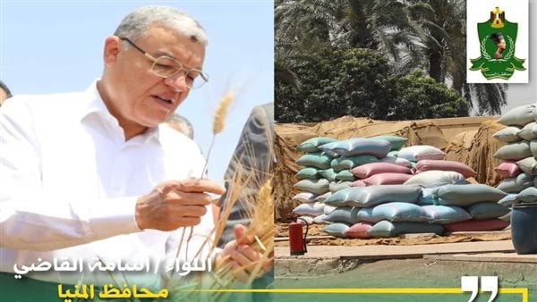 شون وصوامع المنيا تستقبل 132 ألف طن من محصول القمح