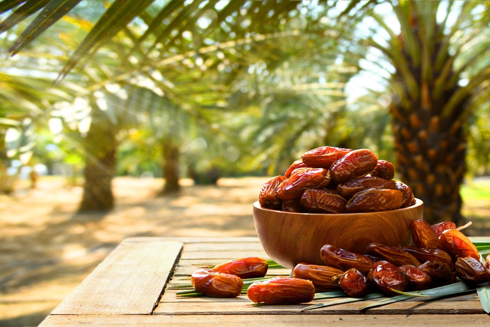 التمر المجفف-المصدر: shutterstock