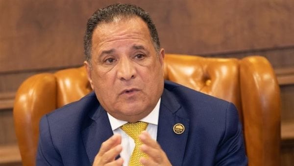 دعوة الرئيس السيسي للمستثمرين لتصنيع المنتجات المستوردة يحمي الاقتصاد