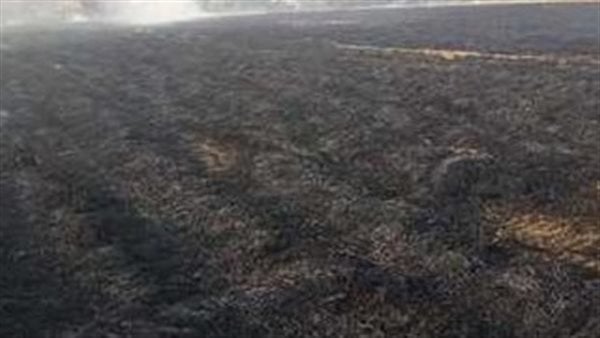 ما تريد معرفته عن حملة جهاز شئون البيئة لمواجهة السحابة السوداء بالمحافظات|فيديو