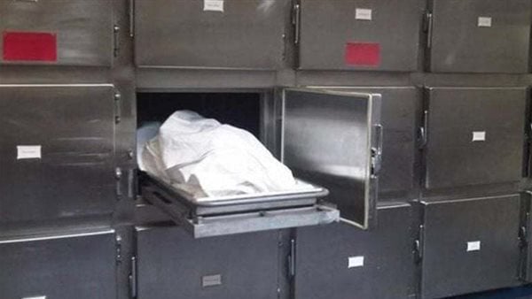 مصرع شابين في حادث تصادم يالدقهلية