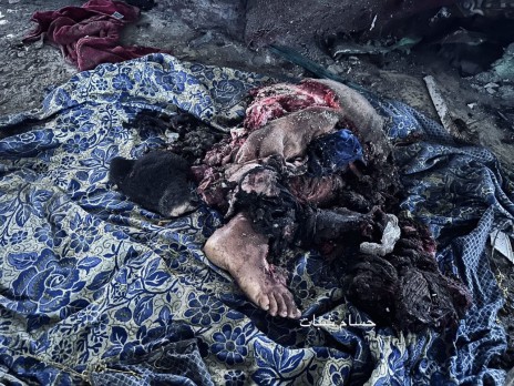 رئيس منظمة “نيهون هيدانكو” الفائزة بجائزة نوبل : ما يحدث في غزة يماثل ما حدث في اليابان