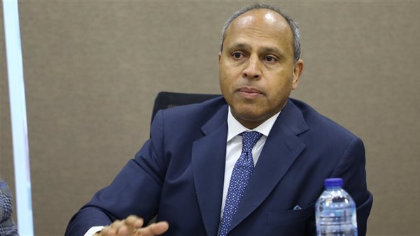 تصريحات ومواقف الرئيس السيسي تؤكد أن مصر صمام أمان المنطقة