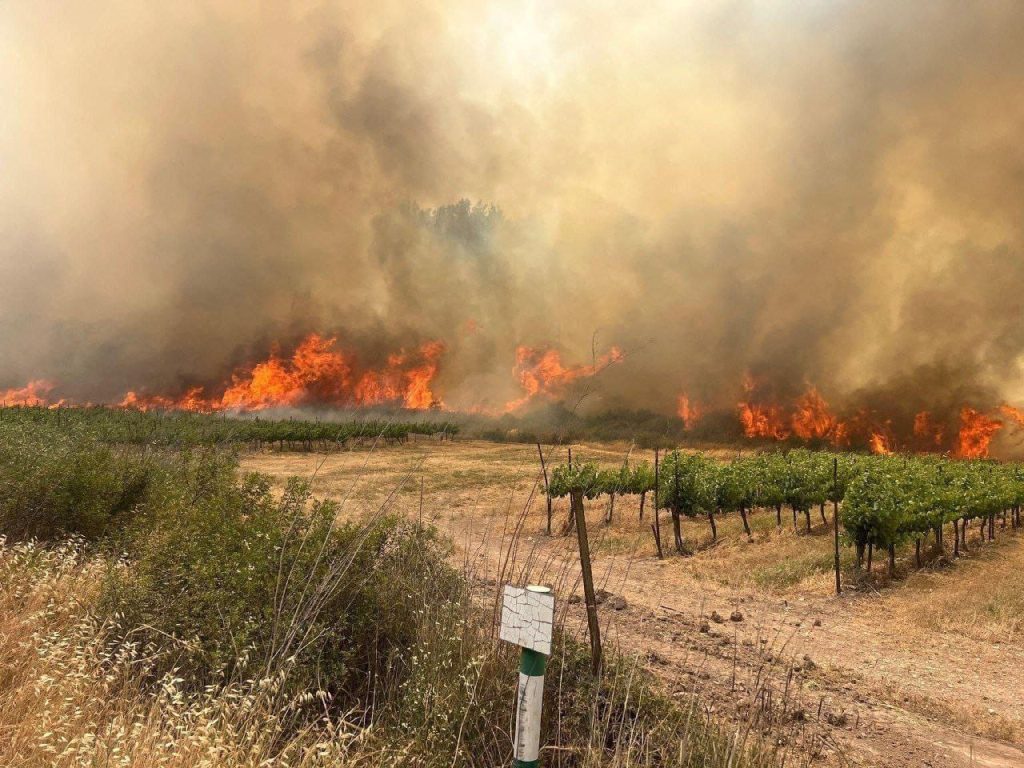 شاهد..حرائق ضخمة في جبال القدس والسلطات الإسرائيلية تطلب مساعدة دولية