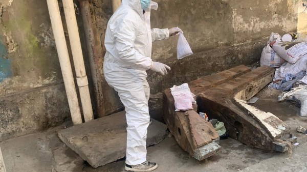 حملات مكثفة لمكافحة القوارض والحشرات  بعرب بورسعيد