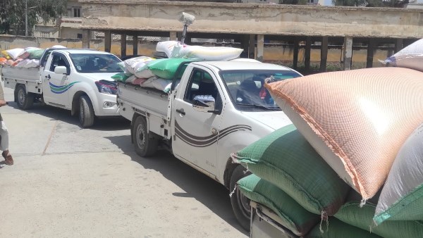 توريد 149 ألفًا و492 طن قمح لصوامع وشون كفر الشيخ | صور توريد 149 ألفًا و492 طن قمح لصوامع وشون كفر الشيخ | صور