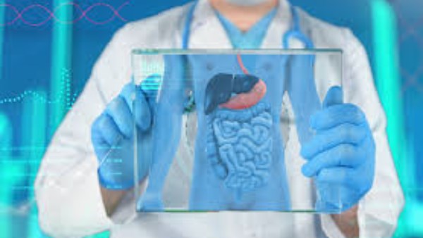 لماذا صحة الأمعاء مهمة؟