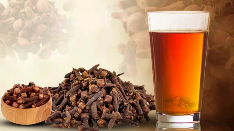 ماذا يحدث لجسمك عند شرب ماء القرنفل صباحا؟