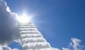 هل كل من اسمه محمد لا يدخل النار؟.. الإفتاء: الحديث صحيح