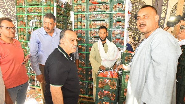 محافظ أسيوط يتابع منظومة تجهيز وتصدير 