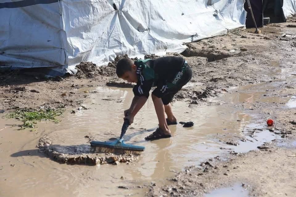 الرئاسة الفلسطينية تناشد العالم بالضغط على إسرائيل للإسراع في إدخال البيوت الجاهزة والخيام لقطاع غزة