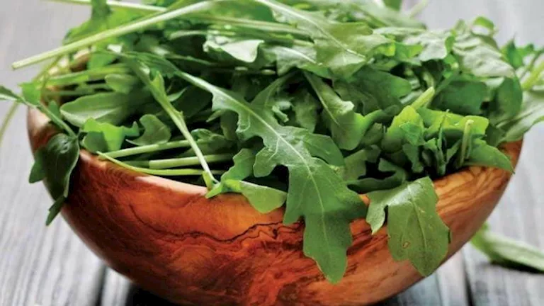 3 أسباب تجعل الجرجير سلاحك الطبيعي لتعزيز صحة الجسم