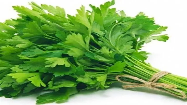 احرص عليه.. 5 فوائد صحية للكرفس مذهلة