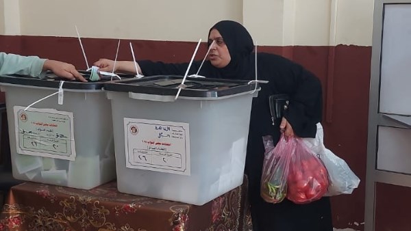 جدول زمنى خاص لإجراء الانتخابات بـ29 دائرة ألغتها الإدارية العليا