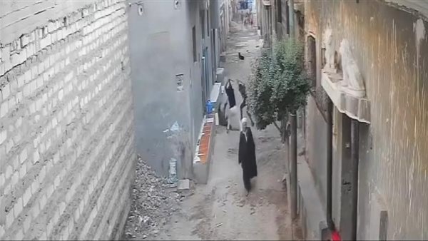 شاب يتعرض للضرب بالشوم والعصي أمام أسرته بالمنيا .. والتحقيق يكشف التفاصيل