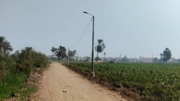 محافظ المنيا يعيد الحياة لطريق صفانية