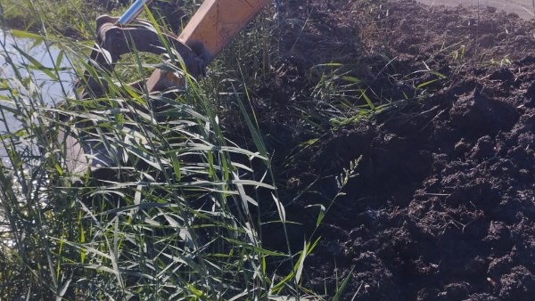 إزالة 5 مزارع سمكية مخالفة على أراضي الدولة بمساحة 100 فدان بمنطقة الشلاتيات جنوب بورسعيد إزالة 5 مزارع سمكية مخالفة على أراضي الدولة بمساحة 100 فدان بمنطقة الشلاتيات جنوب بورسعيد