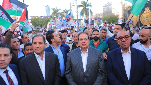 من البرلمان إلى الأمم المتحدة.. «أبو العينين» يجسد الموقف المصري المدافع عن القضية الفلسطينية