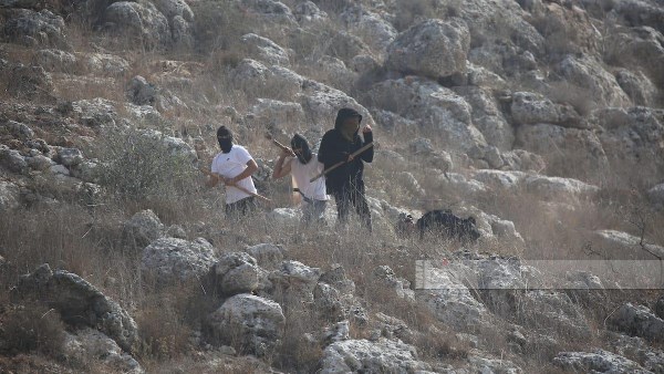 الانتهاكات مستمرة.. المستوطنون يحرقون مركبات فلسطينيين في شرق الخليل