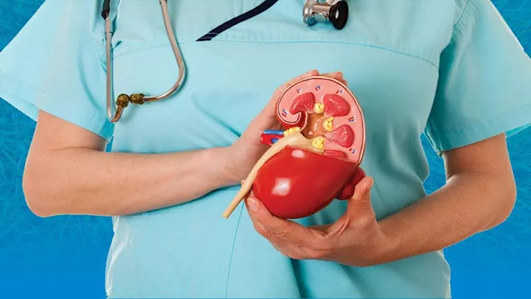 علامات تكشف إصابتك بالتهاب الكلى