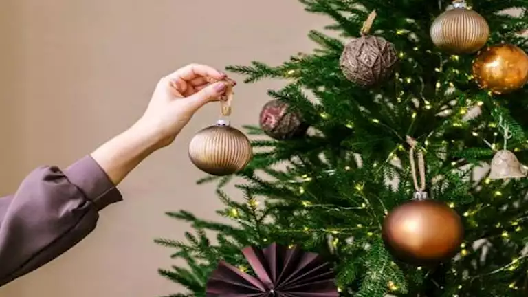 “أطباق الكريسماس بلا ذنب” نصائح للحفاظ على الوزن