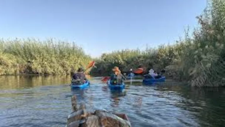 مغامرة في النيل.. شباب يخوضون رحلة الكياك من أسوان إلى “مرج البحرين”