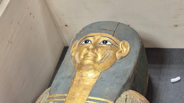 مصر تستعيد قطعتين أثريتين من بلجيكا.. صور