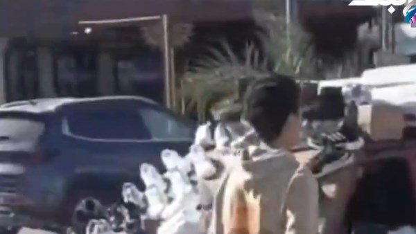 مرافق بورسعيد تعيد الانضباط لمنطقة أسواق السمك والملابس المستعملة | شاهد