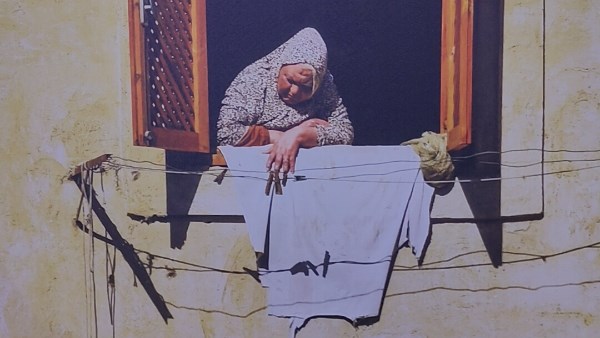 من قلب الجدار القديم .. نافذة مفتوحة على إنسانية بلا حدود