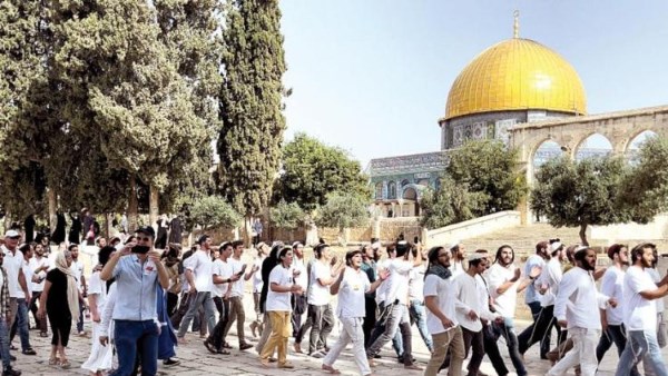 مستوطنون يقتحمون باحات المسجد الأقصى ..وآخرون يستولون على جرافة ويعتدون على سائقها جنوب نابلس