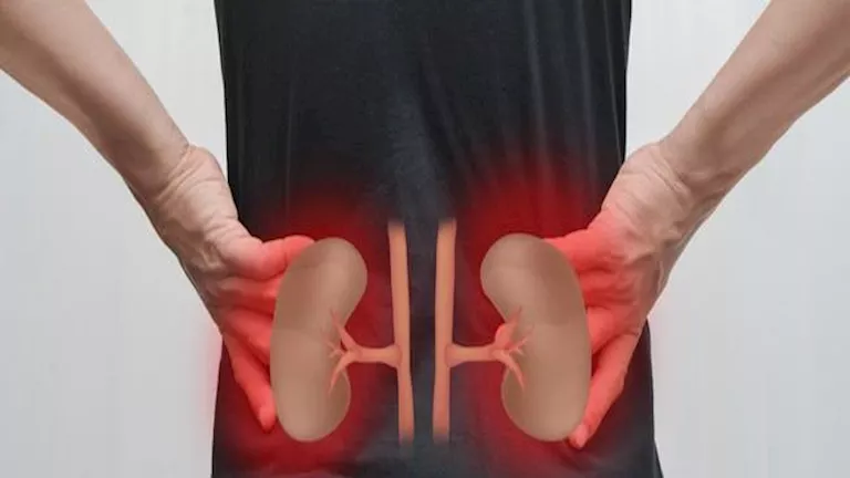 مرضى الكلى أكثر عرضة لمشكلات هضمية خطيرة.. دراسة تحذر