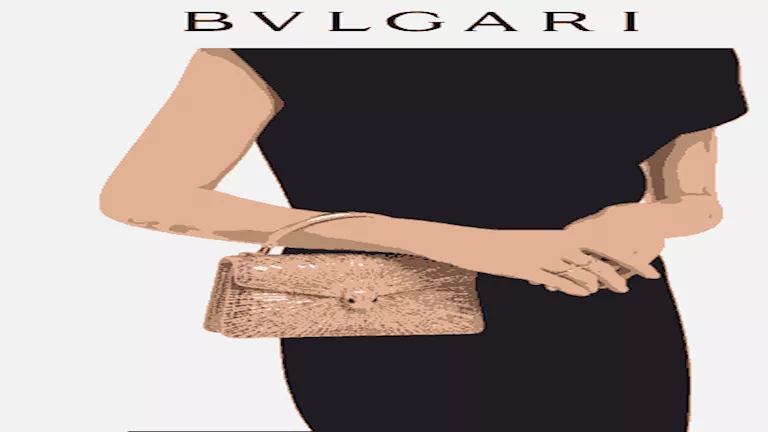 شنطة يد بما يعادل الـ 2 مليون