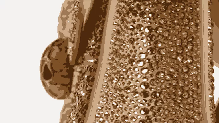 سسسسسسسسسسسس