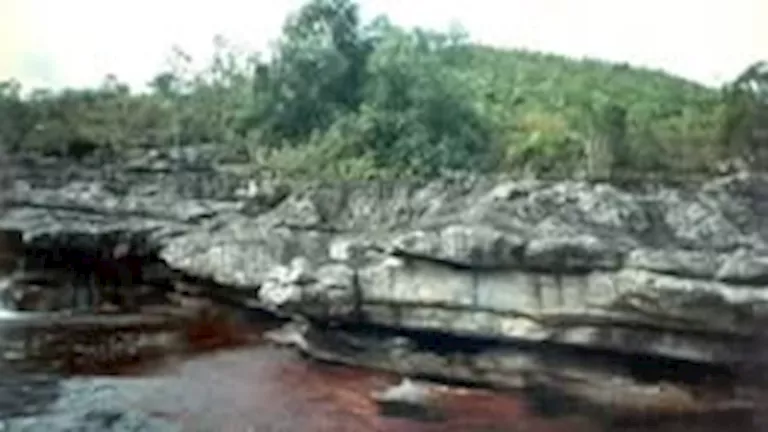 ألوان لا تصدق في قلب الطبيعة.. تعرف على نهر الألوان الخمسة (صور)