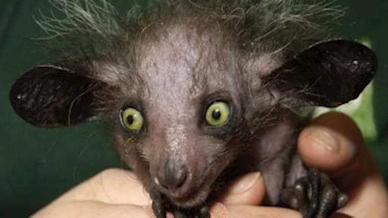 حيوانات جذابة ومرعبة في آن واحد