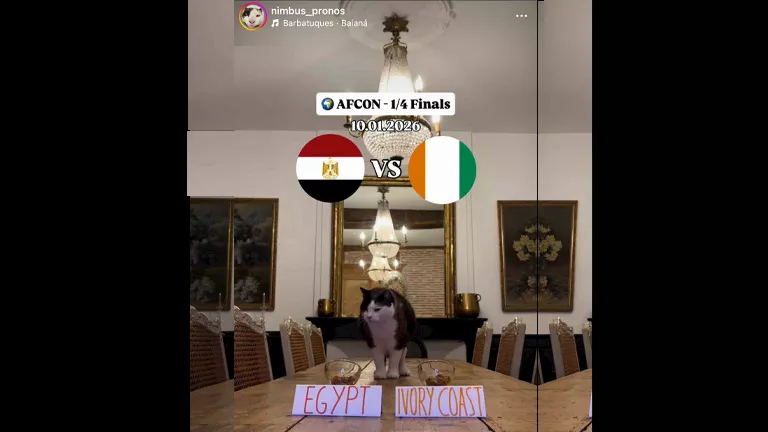 القط العراف يصدم منتخب مصر قبل مواجهته المرتقبة أمام كوت ديفوار.. ماذا