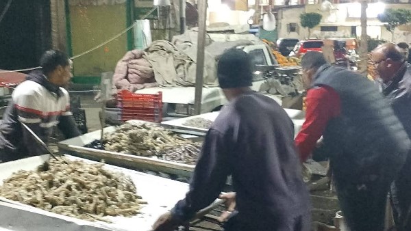 بدأت من أول يوم استلامها قيادة مناخ بورسعيد.. العزبي تحذر أصحاب الإشغالات.. صور