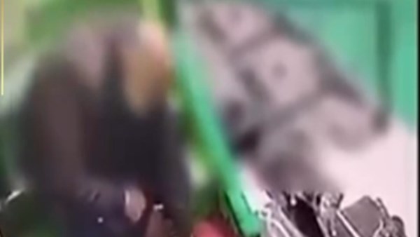 معملش حاجة.. موظف يضع قطة داخل جوال حرصا على نظافة مسجد بدمياط