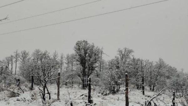 طقس قاسٍ.. تحذيرات عاجلة في المكسيك مع اقتراب عاصفة شتوية عنيفة