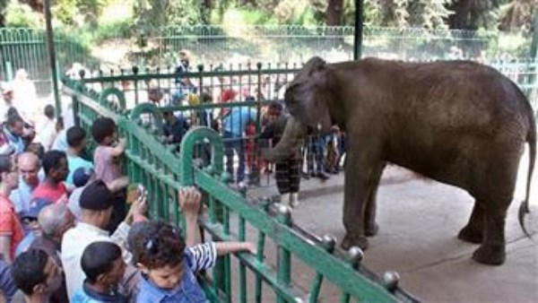 %30 زيادة في زوار حدائق الحيوان خلال عيد الفطر المبارك