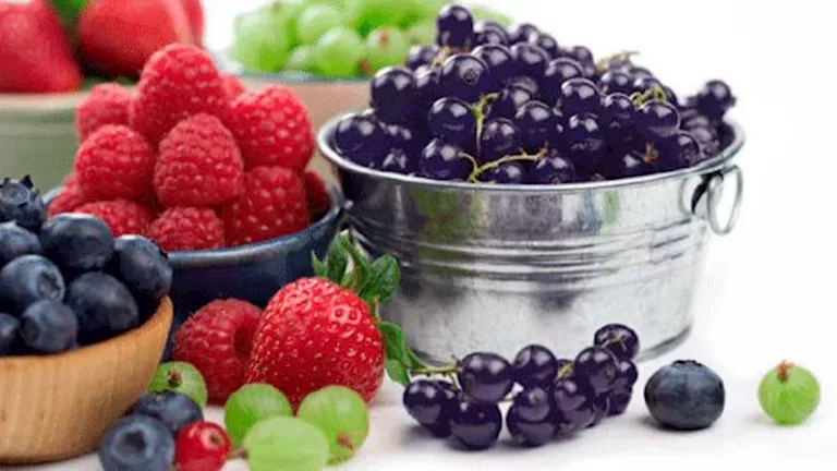 تناول التوت البري يخفض ضغط الدم- هذا ما يفعله