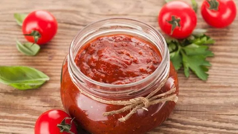 إزالة العفن لا تكفي.. مخاطر تناول صلصة الطماطم الملوّثة