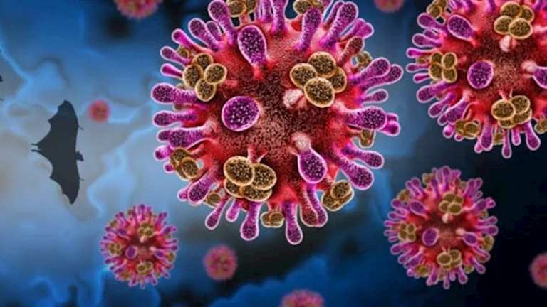 فيروس قاتل ينتقل عبر الخفافيش يثير مخاوف في آسيا.. ما أعراضه؟