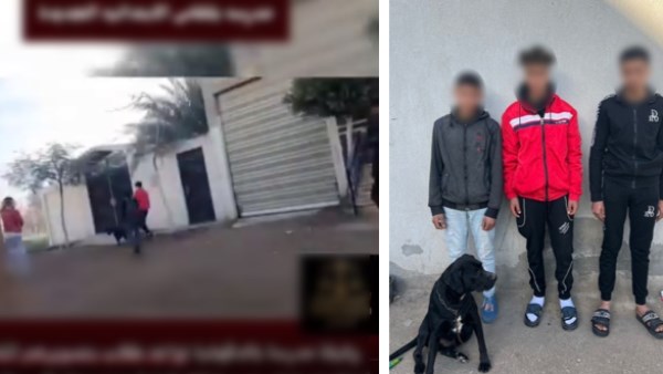 القبض على 3 طلاب تعدوا على معلمة بالسب أمام المدرسة