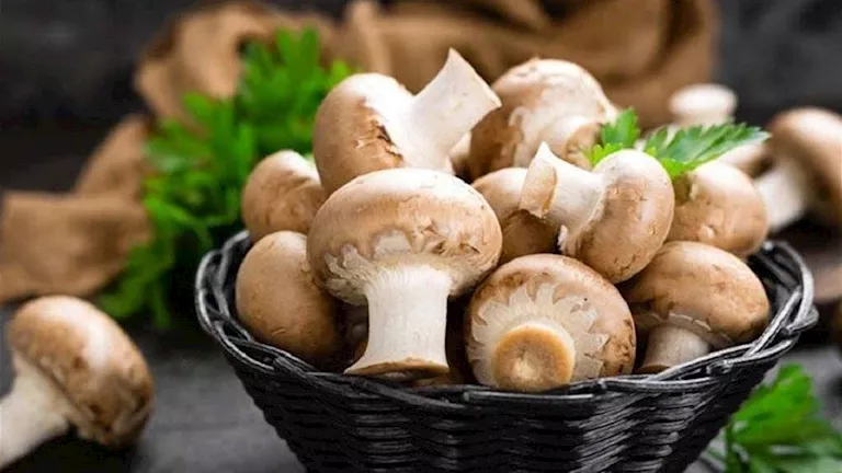 كيف يساعد المشروم على خفض ضغط الدم؟