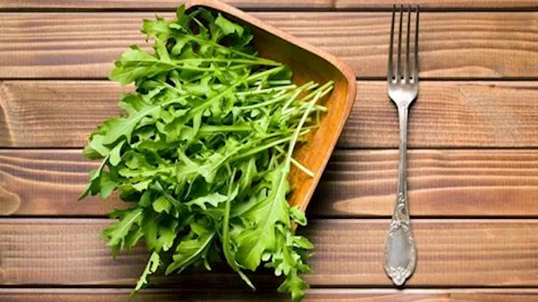 فوائد الجرجير للمناعة والهضم والقلب والعظام