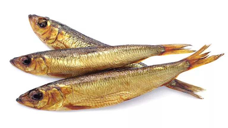 خطأ شائع في تخزين الرنجة يفسد طعمها وقيمتها الغذائية