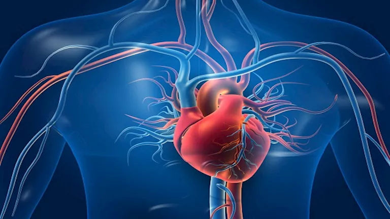 دراسة: انقطاع الطمث المبكر يزيد خطر أمراض القلب لدى النساء