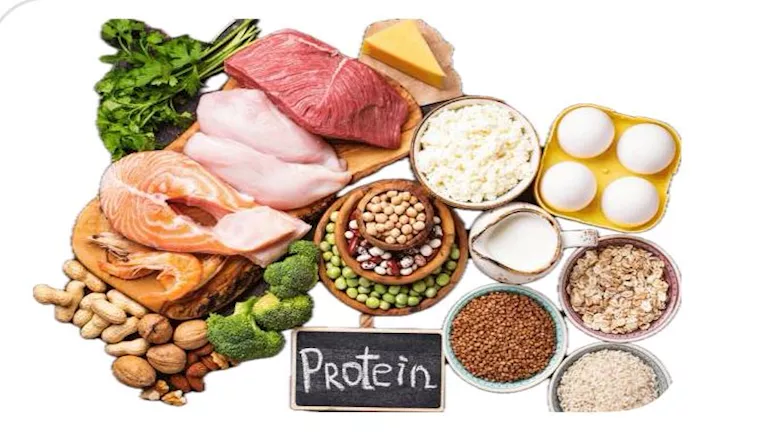 ما هي أهم مصادر البروتين الحيواني المفيدة لجسم الإنسان؟